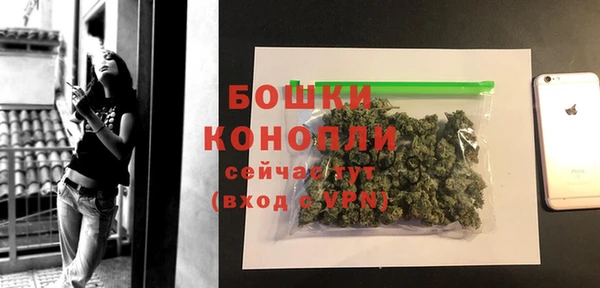 индика Новозыбков
