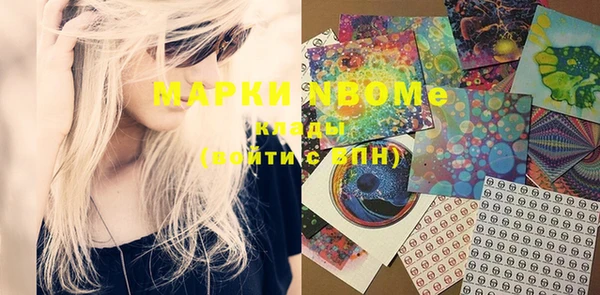 индика Новозыбков