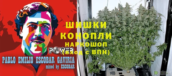 гашик Новодвинск