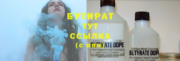 индика Новозыбков