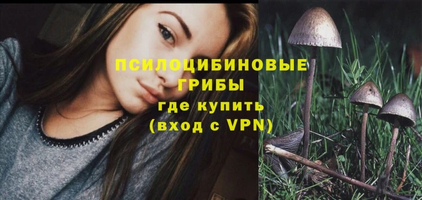 бошки Валуйки