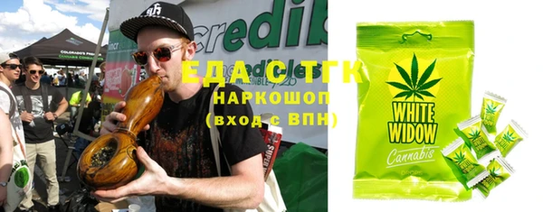 индика Новозыбков
