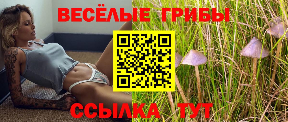Псилоцибиновые грибы ЛСД  Вход с VPN  Избербаш 