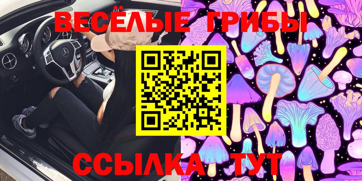 Галлюциногенные грибы GOLDEN TEACHER  Избербаш 